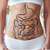 Gut Health: The Hidden Hero Enhancing Your Daily Life