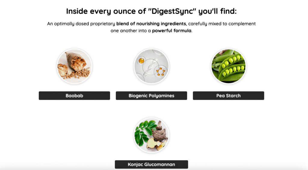 digistsync ingredients and gut health